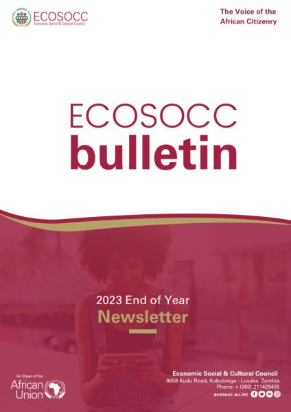 ECOSOCC End of Year Newsletter