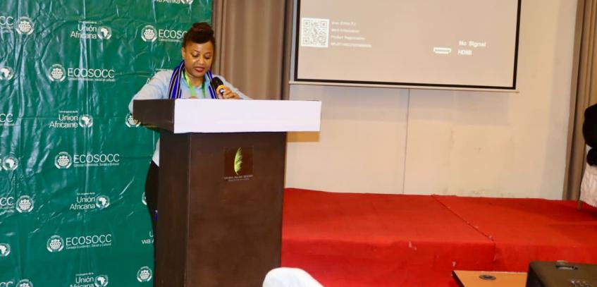 Strengthening Peace and Security: ECOSOCC Training of Trainers Workshop for CSOs on Information Gathering, Conflict Analysis and Early Warning/Response