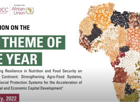 
<span>Exhibition on AU Theme of the Year - ECOSOCC Pan African Month</span>
