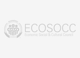 African Union ECOSOCC Default Image