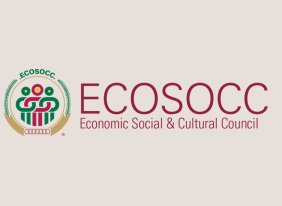 Ecosocc Logo