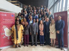 ECOSOCC co-hosts roundtable discussion on the role of the European Union APSA IV Program