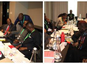 ECOSOCC holds technical expert meeting to finalise MOOC curriculum and platform