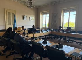 ECOSOCC briefs CERD on UNGA Resolution on Racialized Chattel Enslavement of Africans