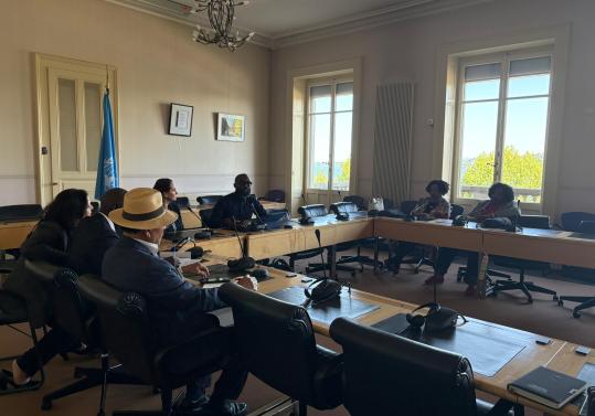ECOSOCC briefs CERD on UNGA Resolution on Racialized Chattel Enslavement of Africans