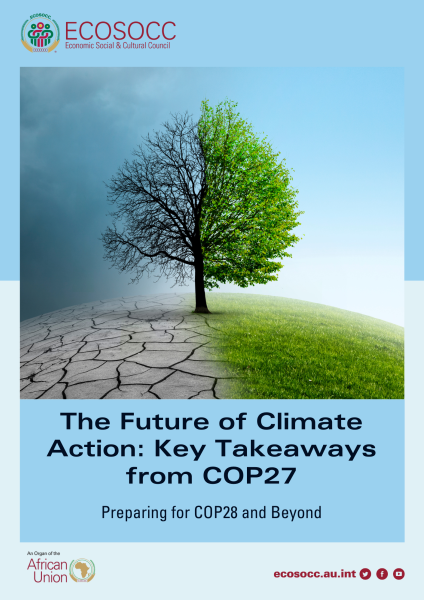 Key Takeaways and Main Outcomes Of COP27 and the Road to COP28