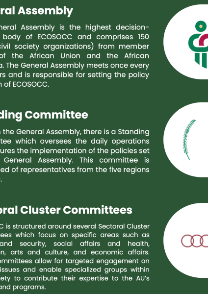 ECOSOCC's Organizational Structure