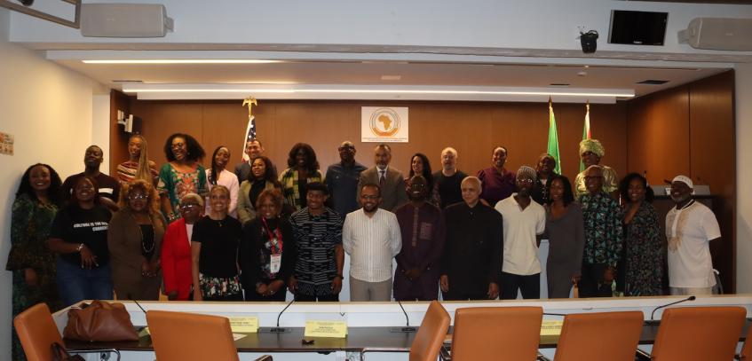 The journey to 20 Diaspora seats, from representation to participation 