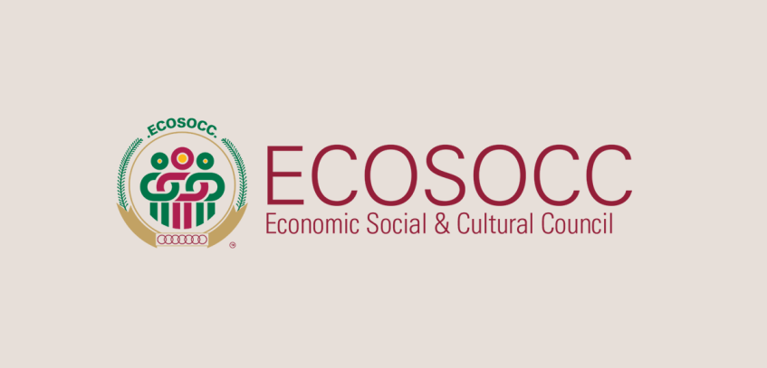 Ecosocc Logo