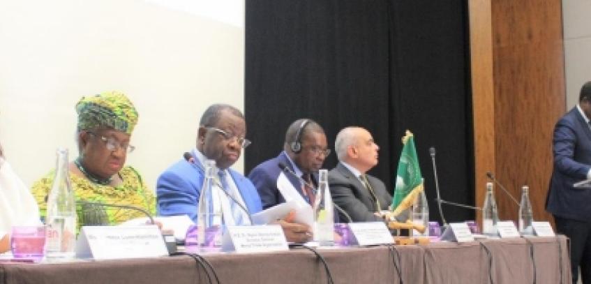African Ministers of Trade adopt a Declaration of a common position tabled in  Geneva before the 12th WTO Ministerial Conference