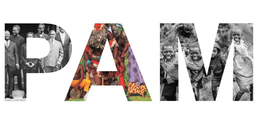 ECOSOCC Pan African Month