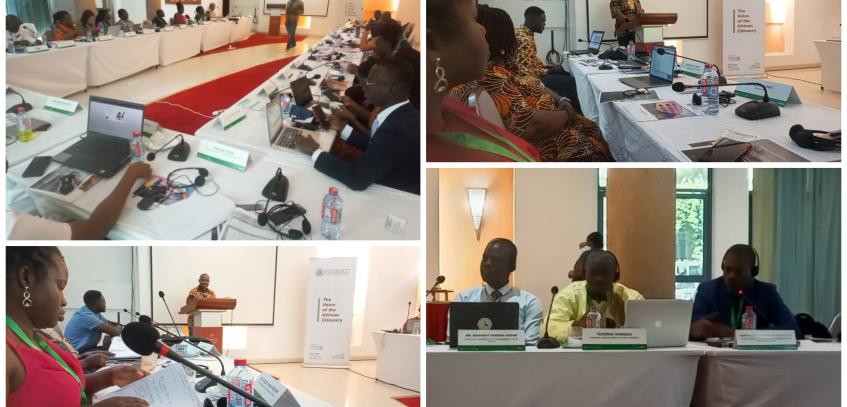 ECOSOCC convenes ToT thematic training on peacebuilding, advocacy and reconciliation in the Horn of Africa, Lake Chad Basin and the Sahel