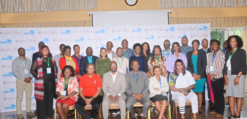 ECOSOCC and COMESA collaborate to leverage CSO networks in conflict prevention