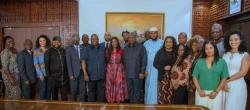 President of Ghana Receives Global Group of Experts